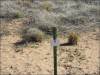 .83 Acres Arizona Land