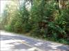 .55 Acres California Land