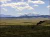 5.3 Acres Colorado Land
