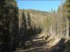 2.30 Acres of Colorado Land