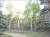 1.60 Acres of Colorado Land