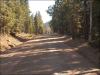 2 Acres of Colorado Land for Sale