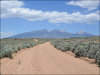 5.19 Acres Colorado Land