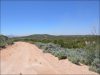 5.30 Acres of Colorado Land for Sale