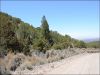 5 Acres Colorado Land