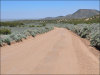 5 Acres Colorado Land