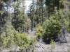 5.90 Acres of Colorado Land for Sale