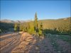 Colorado Land Auction 6.8 Acres Colorado Land