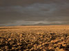 Colorado Land Auction 5 Acres Colorado Land