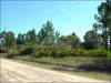 Florida Land for Sale, .49 Acres .49 Acres Florida Land