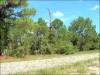 .49 Acres Florida Land