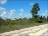 Cheap Monthly Payment of $140 .24 Acres Florida Land