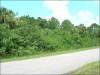 .49 Acres Florida Land