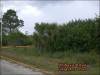 Florida Land for Sale