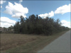 Florida Land, 0.18 Acres