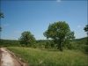 Missouri Land Auction 7.75 Acres Missouri Land