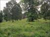 Missouri Land for Sale, 7.75 Acres 7.75 Acres Missouri Land
