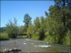 Montana Land for Sale, 20 Acres