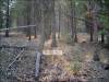 2.65 Acres Oregon Land