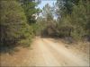 4.59 Acres Oregon Land