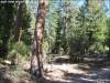 2.2 Acres of Oregon Land for Sale
