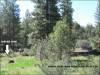 2.44 Acres of Oregon Land