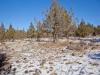 Oregon Land Auction, 2.3 Acres 2.3 Acres Oregon Land