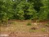 .43 Acres South Carolina Land