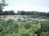 20 Acres of Oklahoma Land for Sale