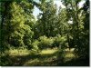 Cheap Missouri Land for Sale, 5.70 Acres