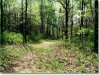 7.3 Acres Missouri Land