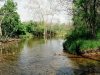 7.81 Acres Missouri Land
