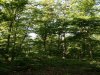 7.3 Acres Missouri Land