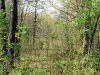 Missouri Land Auction, 8.28 Acres 8.28 Acres Missouri Land