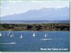 0.155 Acres Colorado Land