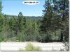 1.75 Acres of Oregon Land for Sale