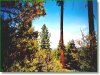 Oregon Land for Sale, 1.75 Acres