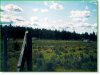 Oregon Land for Sale, 2.0 Acres
