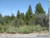 Oregon Land for Sale, 5.28 Acres