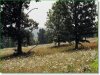 Missouri Land
