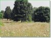 Watch the included video of this land 8.8 Acres Missouri Land