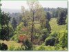 Watch the included video of this land 7.5 Acres Missouri Land