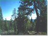 Oregon Land for Sale, 2.92 Acres
