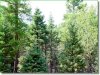 Colorado Land