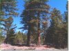 Watch the included video of this land 2.20 Acres Oregon Land