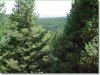 Colorado Land for Sale, 1.28 Acres