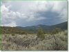 5.2 Acres Colorado Land