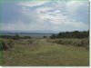Colorado Land, 5.20 Acres
