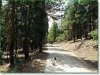 Oregon Land for Sale, 2.5 Acres 2.5 Acres Oregon Land