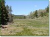 Colorado Land, 1.484 Acres